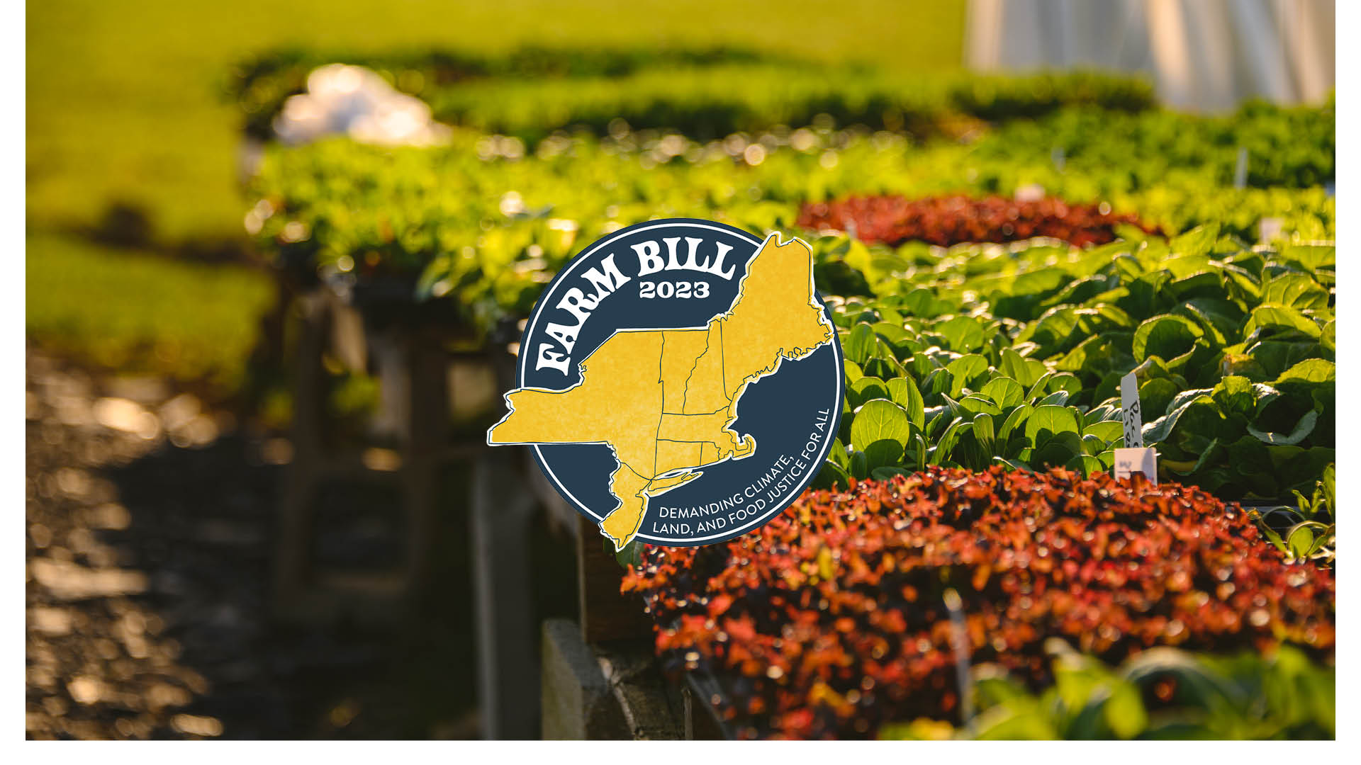 Expired Farm Bill Initial Impacts and Opportunities